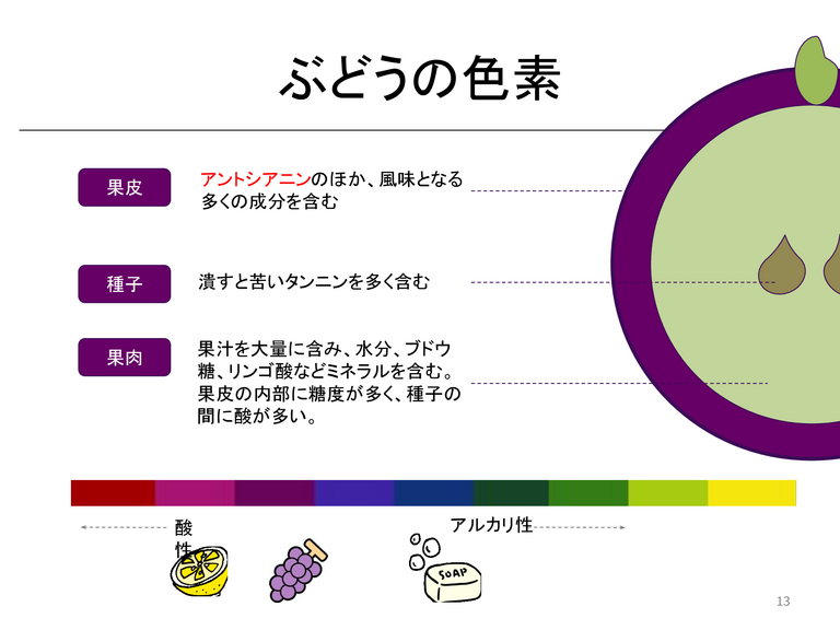 ジュース作りから教科を学ぶ - ページ 13