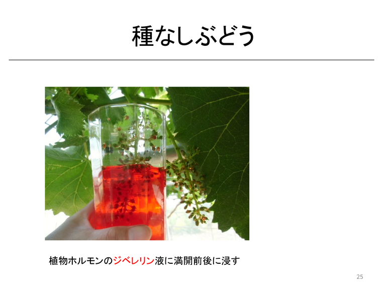 ジュース作りから教科を学ぶ - ページ 25