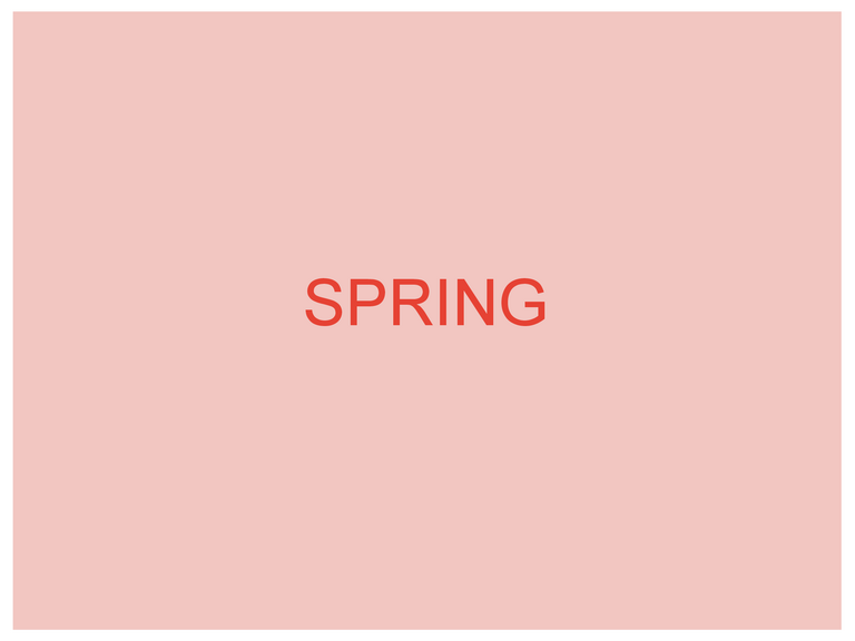 SPRING - トライフルでお花見しよう