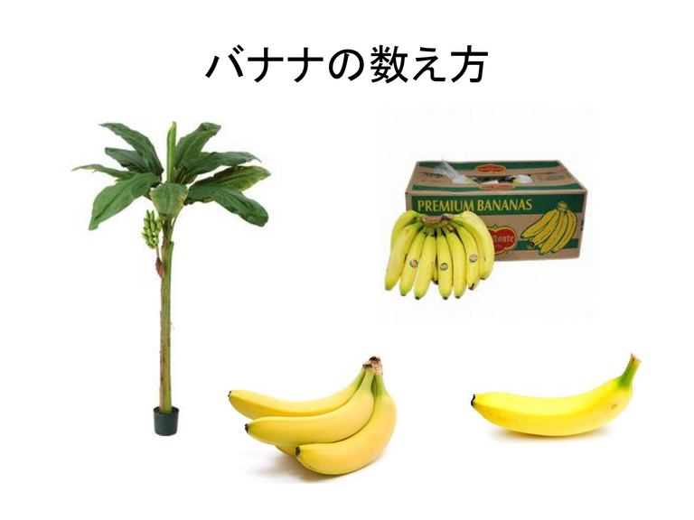 GREEN 知られざる顔 - ページ 10