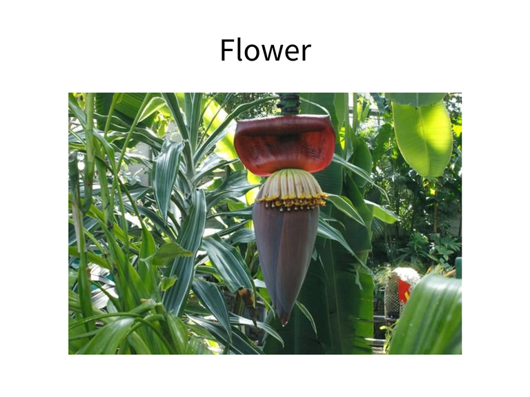 GREEN 知られざる顔 - ページ 2