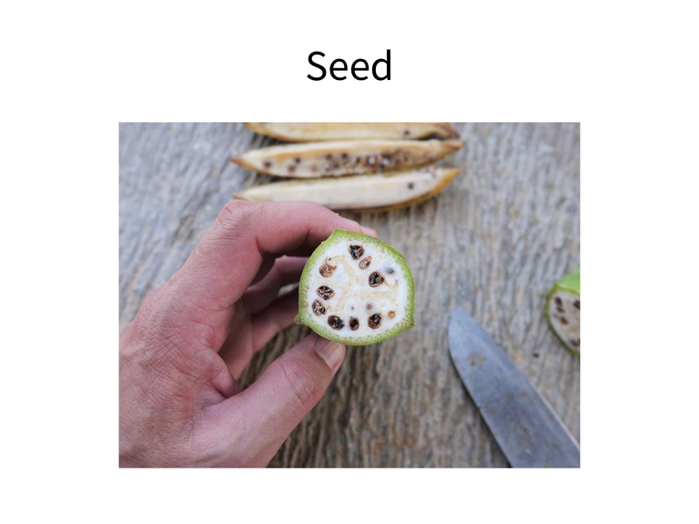 GREEN 知られざる顔 - ページ 5