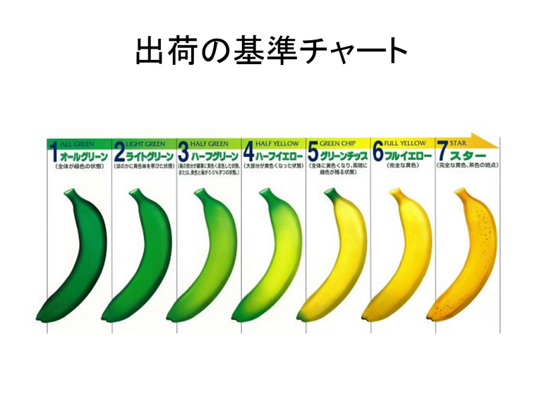 GREEN 知られざる顔 - ページ 9