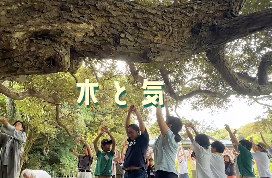 かまくらULTLA2025 『木と気』【 海・森 】