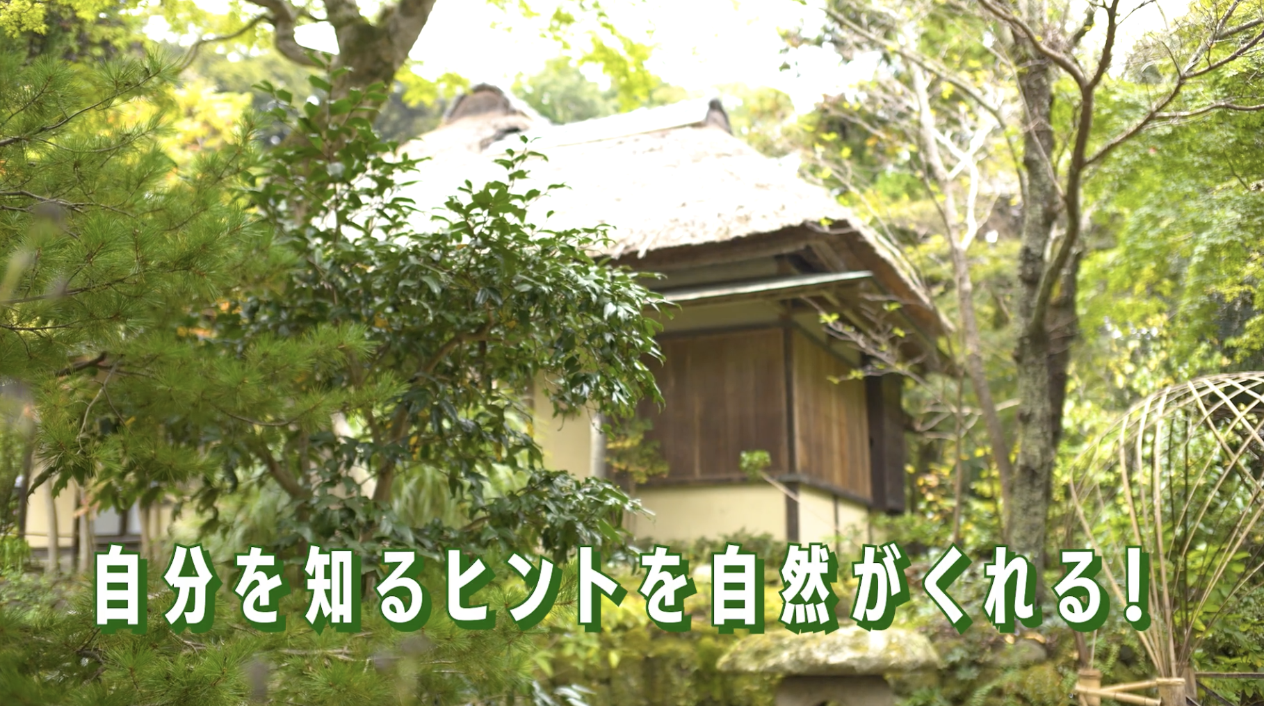 かまくらULTLA2024 『石と意志』【森編】